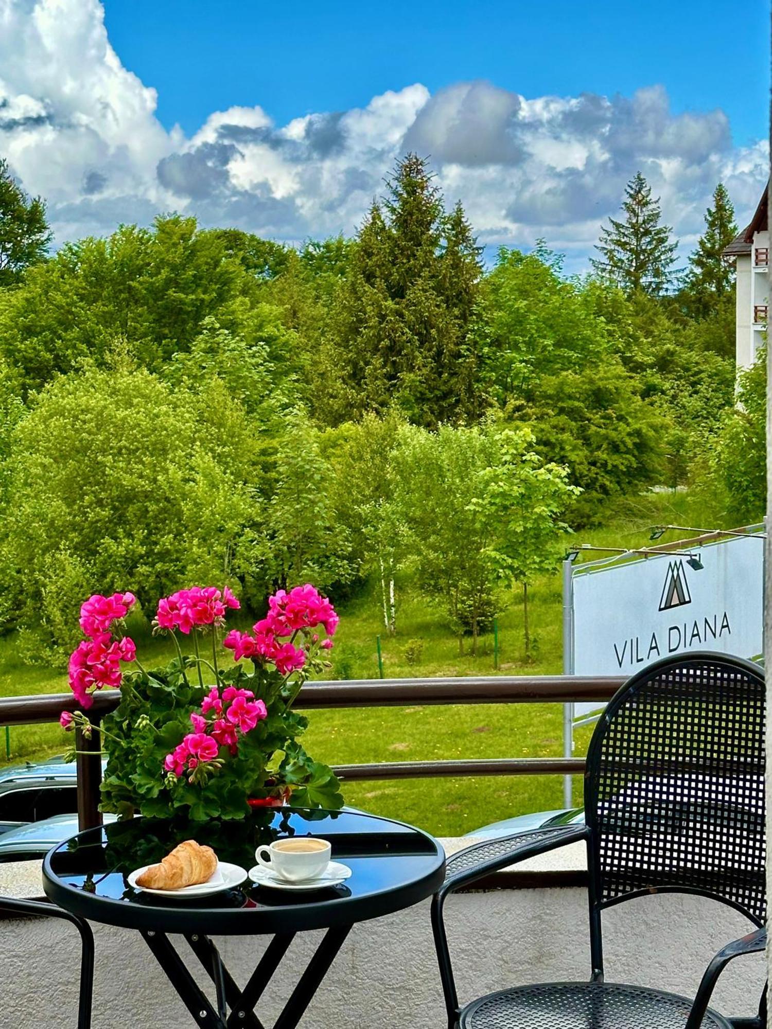 Vila Diana - Poiana Brasov Exterior photo